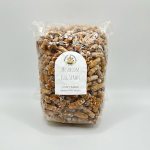 Lion's Mane Mushroom Plug Spawn 500x - FREE USA shipping