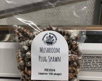 Reishi Mushroom Plug Spawn 100x - FREE USA shipping