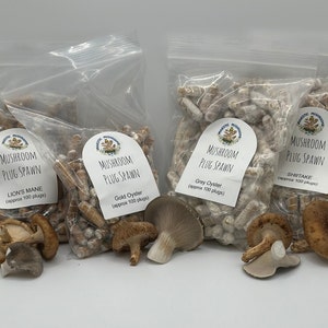 May include: Four bags of mushroom plug spawn, each with a different variety: Lion's Mane, Gold Oyster, Grey Oyster, and Shiitake. Each bag contains approximately 100 plugs.  The bags are labeled with the mushroom variety and the number of plugs.  There are also four mushrooms in the image, one of each variety.