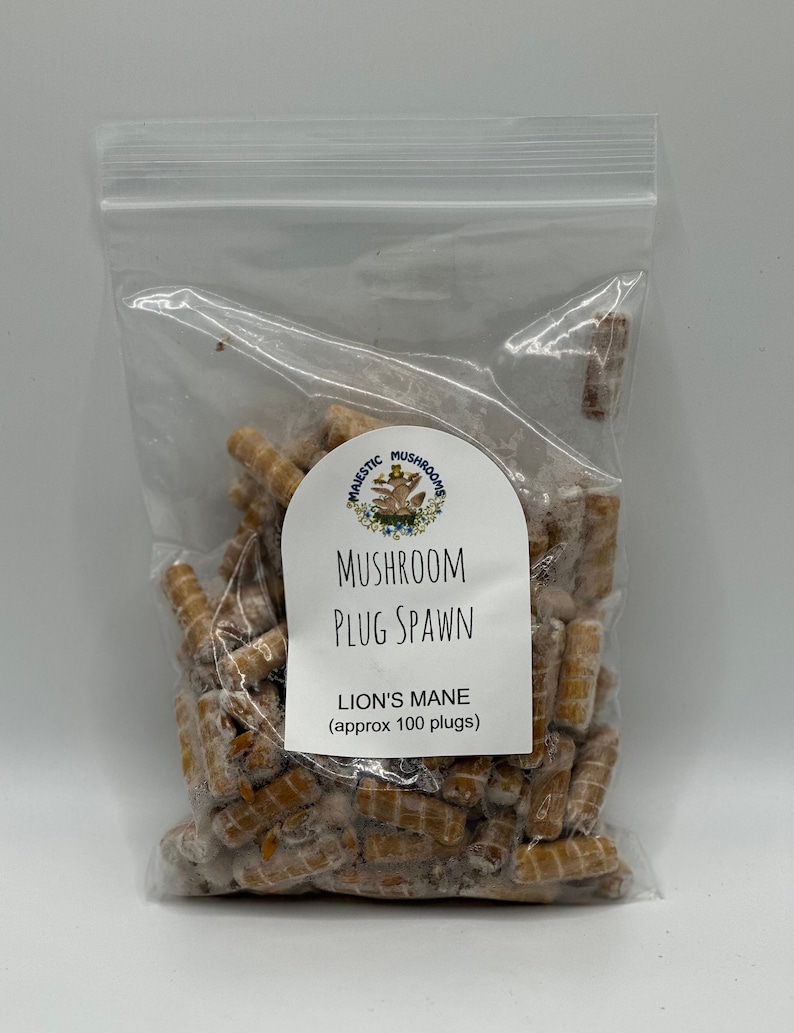 May include: A clear plastic bag filled with approximately 100 brown mushroom plugs. The bag has a white label that reads "Majestic Mushrooms, Mushroom Plug Spawn, Lion's Mane (approx 100 plugs)"
