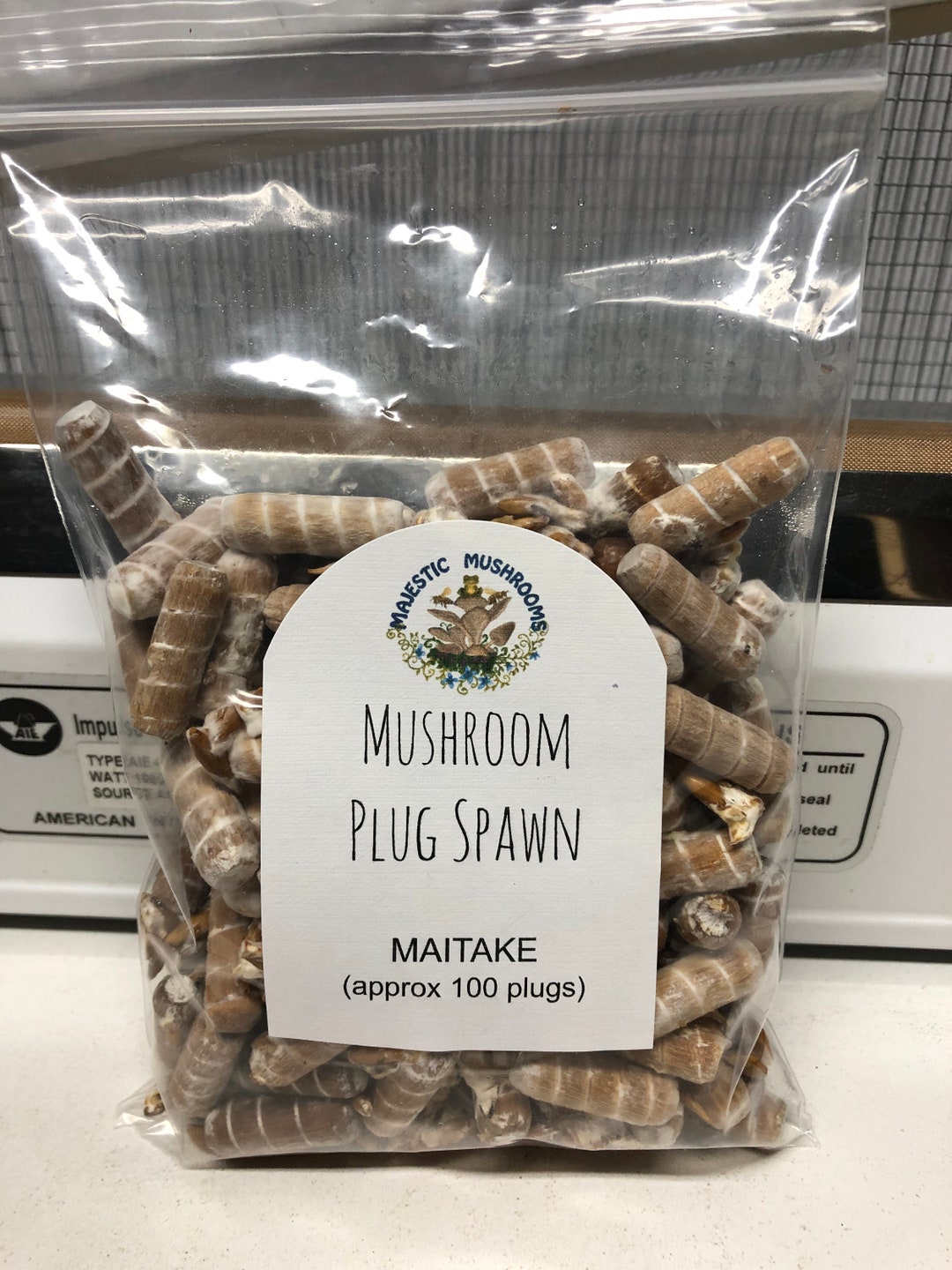 Maitake Mushroom Plug Spawn 100x FREE USA Shipping Etsy