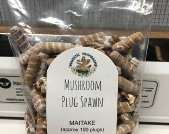 Maitake Mushroom Plug Spawn 100x - FREE USA shipping