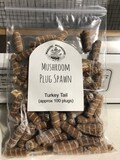 Turkey Tail Mushroom Plug Spawn 100x - FREE USA shipping