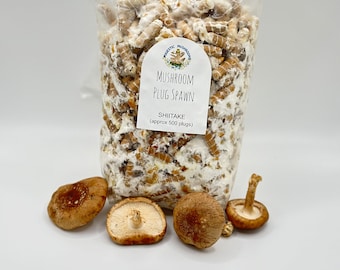 Shiitake Mushroom Plug Spawn 500x - FREE USA shipping