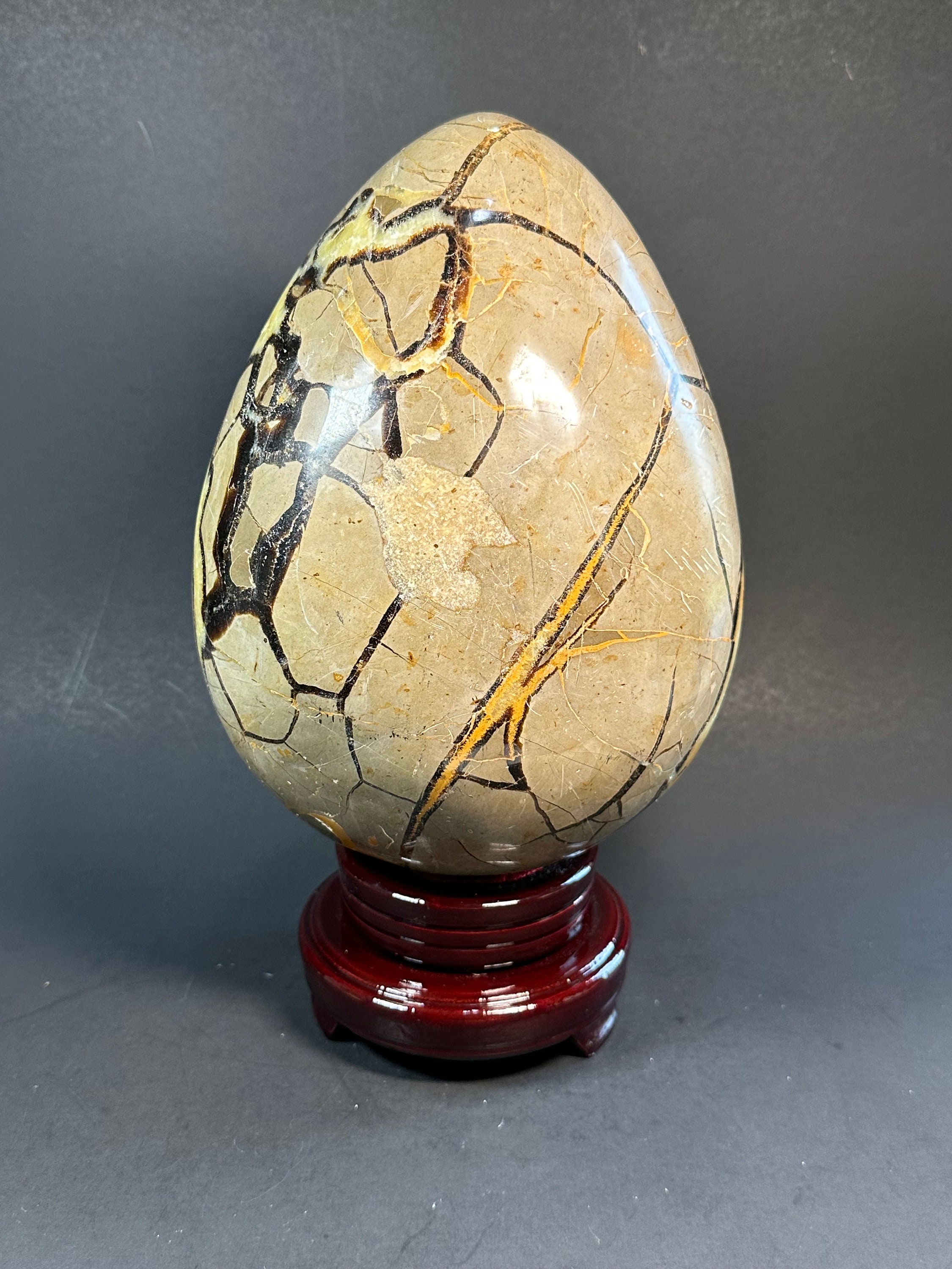 セプタリアン 特大サイズ卵 大型セプタリアン卵、ドゥルージークリスタルセンター - Etsy 日本