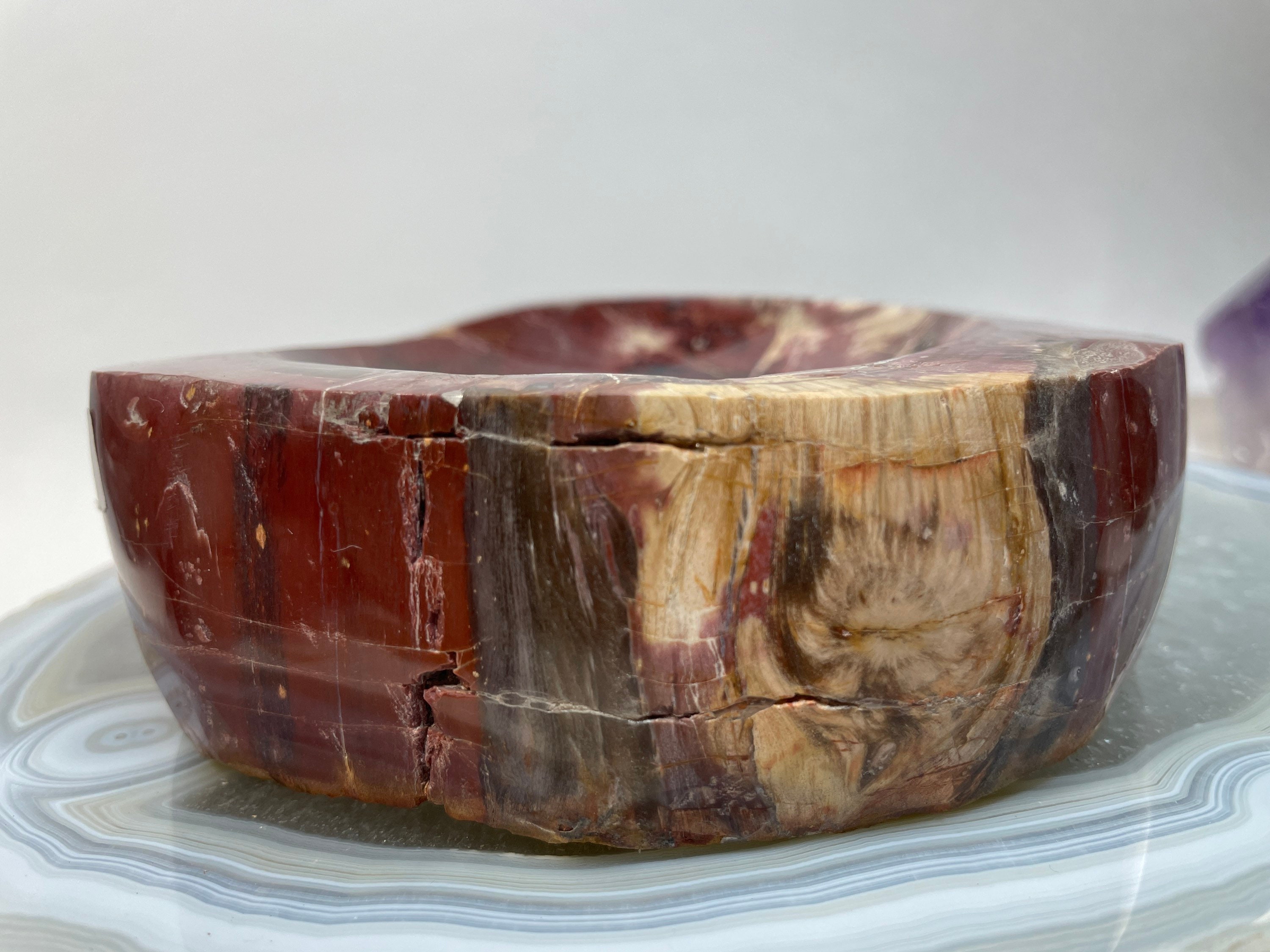 Petrified Wood Bowl Polished Petrified Wood Etsy