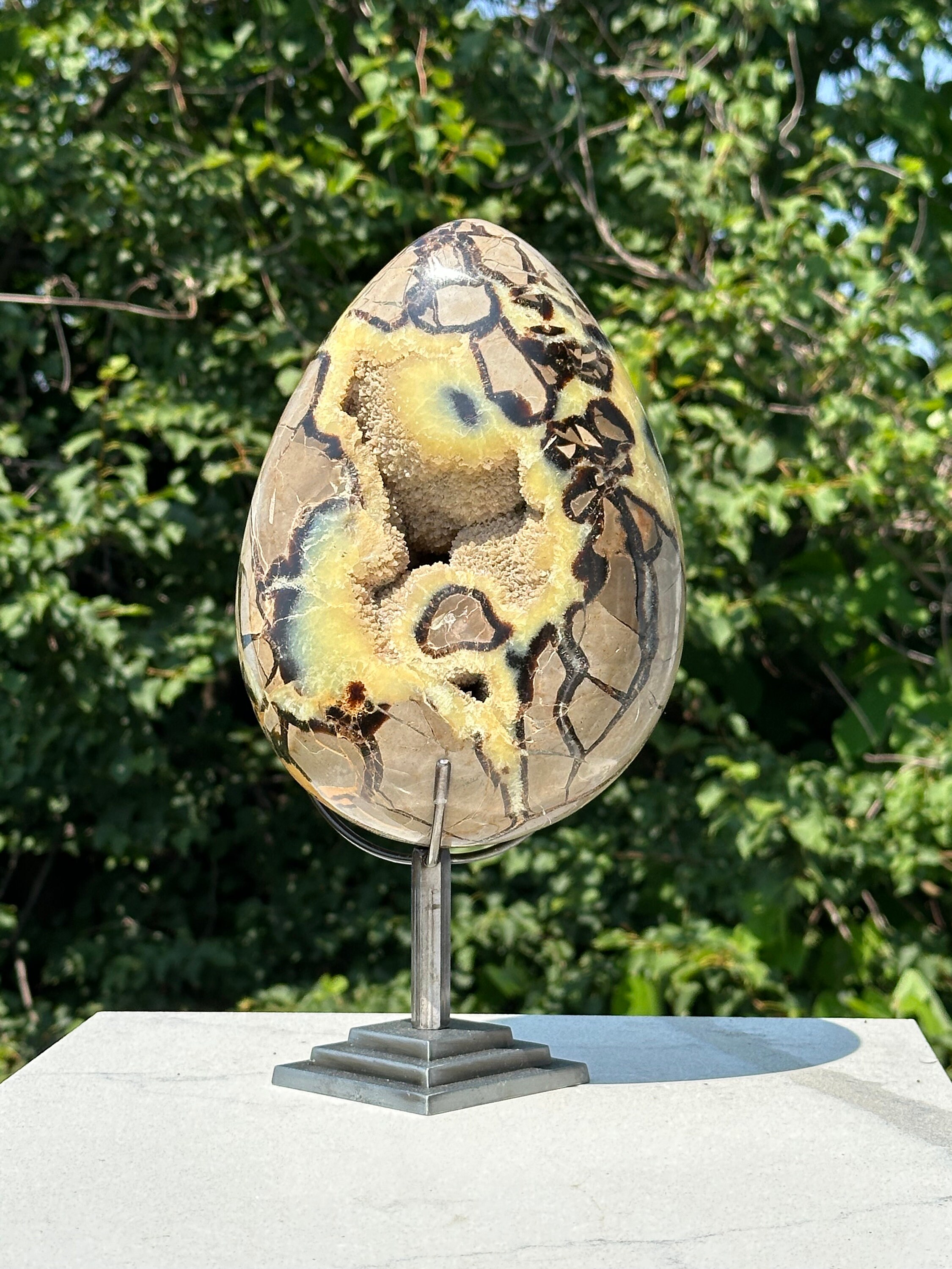 セプタリアン 特大サイズ卵 大型セプタリアン卵、ドゥルージークリスタルセンター - Etsy 日本