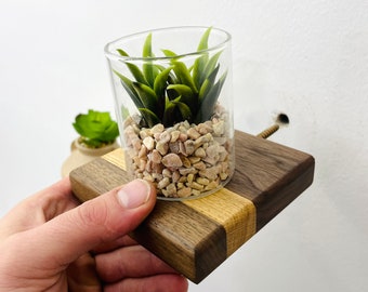 Floating Shelves | Small Square Walnut and Oak Shelf | Plants, Keys, Candles, Wall Décor | Succulent shelf | Walnut with Oak strip