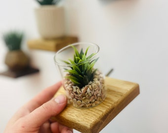 Floating Shelves | Small Trapezium Oak | Plants, Keys, Candles, Wall Décor | Succulent shelf