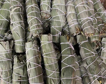 100 Eucalyptus Smudge Sticks 5.5" – Bulk, Hand-Tied