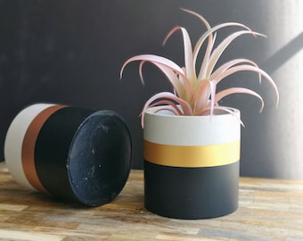 Handmade Concrete Cylinder Planter with Metallic Color Trim-Cement Round Pot with Black Gold Rose Gold Paint