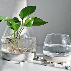 May include: Two glass terrariums, one with a green plant and the other with small fish, on grey concrete bases. The terrariums are filled with water. Small white stones are scattered around the bases.