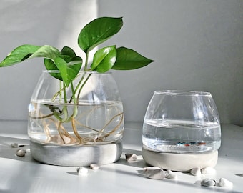 Glass Vase with Round Concrete Base-Mini Fish Tank with Cement Base-Planter for Fairy Garden/ Moss Terrarium