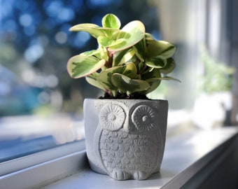 Cement Owl Planter with Drainage-Handmade Concrete Cute Owl Plants Pot-4" Succulent Cactus Planter-Animal Planter