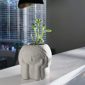 May include: A white ceramic planter shaped like a woman's face with closed eyes. The planter has a small succulent plant growing inside.