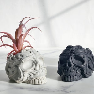 May include: Two decorative skull planters, one white with a pink plant and one black. Both planters have intricate details.