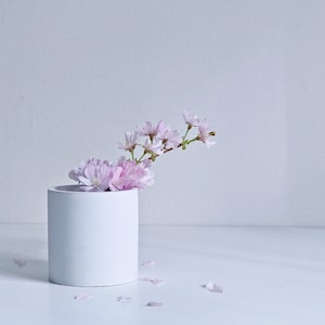 May include: A white ceramic vase with a single branch of pink cherry blossoms. The vase is sitting on a white surface.
