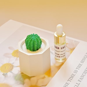 May include: A white ceramic diffuser with a small green cactus on top. The diffuser is next to a small glass bottle with a gold cap and a label that reads "WEW LIFE Premium Fragrance Pink Lilac & Willow".