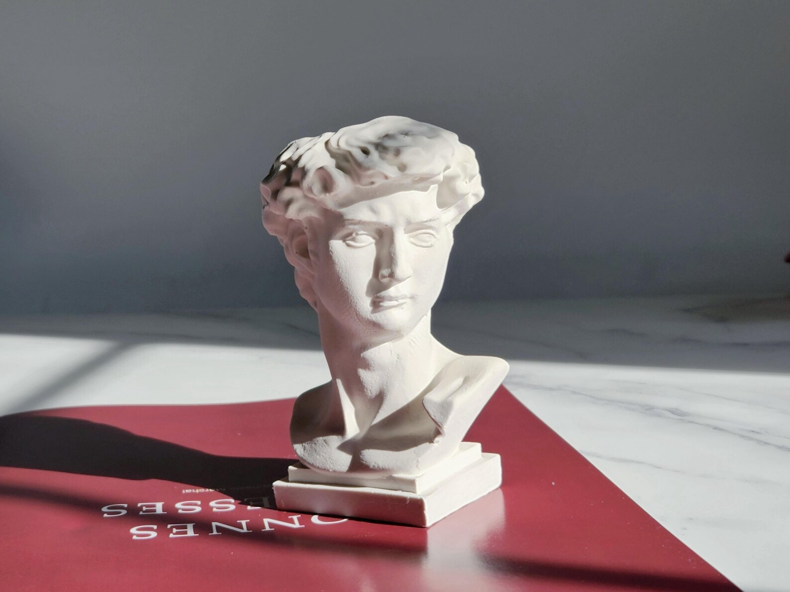 Handmade Cement David Bust Vasewhite David Statue Head Etsy