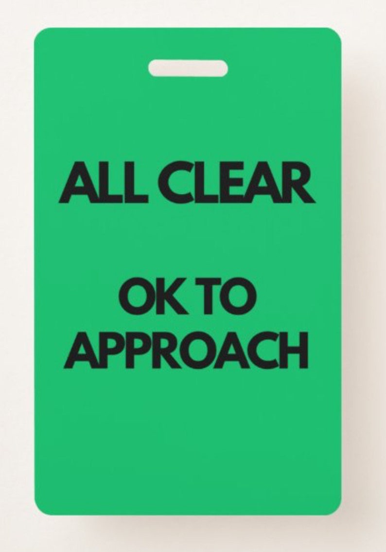 Behavior Support Badge Cards, Communication Cards, Special Education Behavior Management, ABA Therapy Materials, Visual Communication Tools bild 6