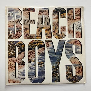 The Beach Boys Self Titled Vintage Vinyl LP Record 1985