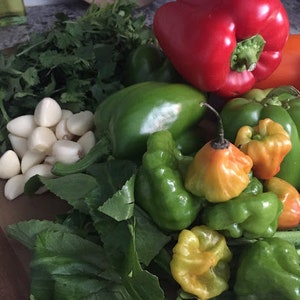 May include: A variety of green and red peppers, including bell peppers, habanero peppers, and jalapeno peppers, are arranged on a wooden cutting board with fresh cilantro and garlic cloves.