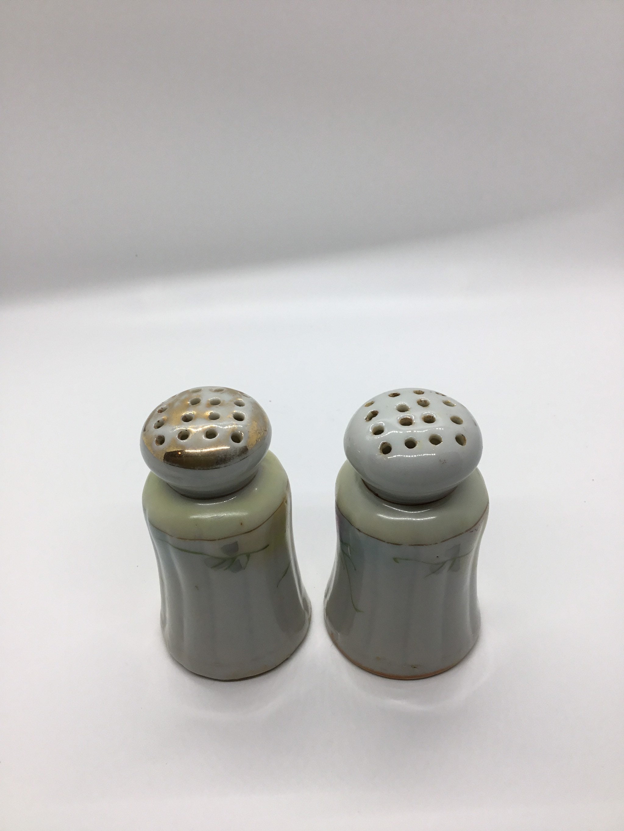 Antique Nippon Hand Painted Salt and Pepper Shakers with Etsy