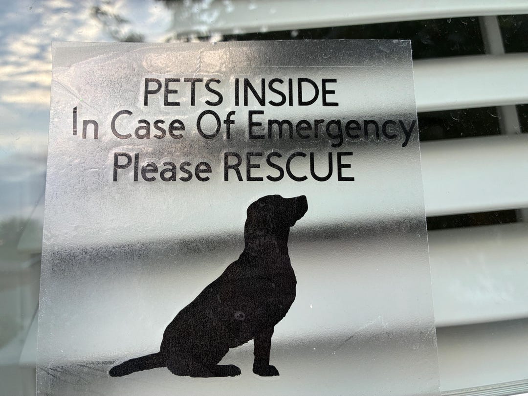 Buy In Case of Emergency, Rescue Window Decal, Dog Rescue, Cat Rescue ...