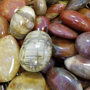 Petrified Wood Palm Stones image 1