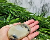 Dendritic Agate Palm Stones (Merlinite)