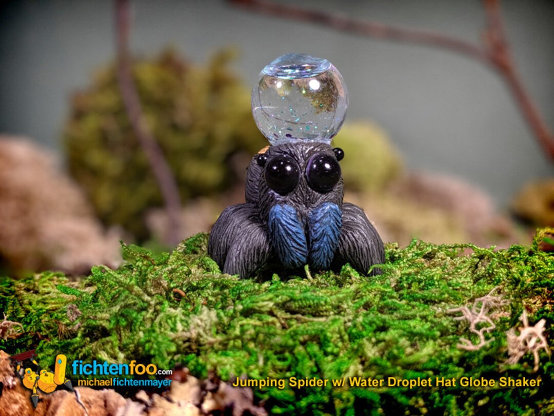 Buy Jumping Spider With Water Droplet Hat Globe Shaker - Creepy \u0026 Cute!  Online in India - Etsy, image size:1080x810