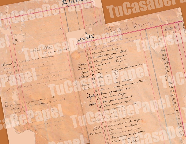 May include: A close-up of a vintage ledger page with handwritten entries in Spanish. The page is yellowed with age and has a few tears. The text includes dates, names, and amounts. The page is titled "Diario Consta!" at the top.