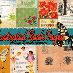 Illustrierte Kinderbuchseiten collagiert mit Schmetterlingscliparts, französischen Rahmen und Vintage-Etiketten. Vintage Spanische Ephemera.