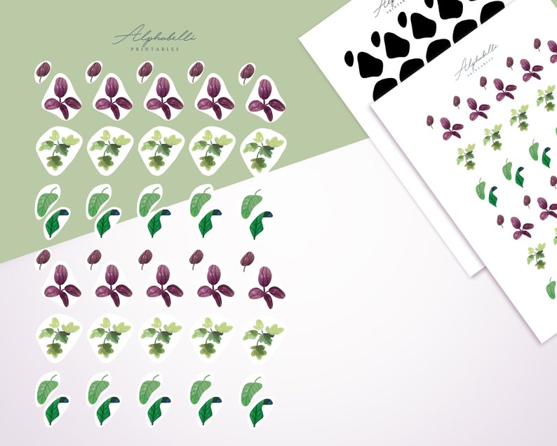 Botanical clipart set Greenery sticker illustrations for garden journal image 4