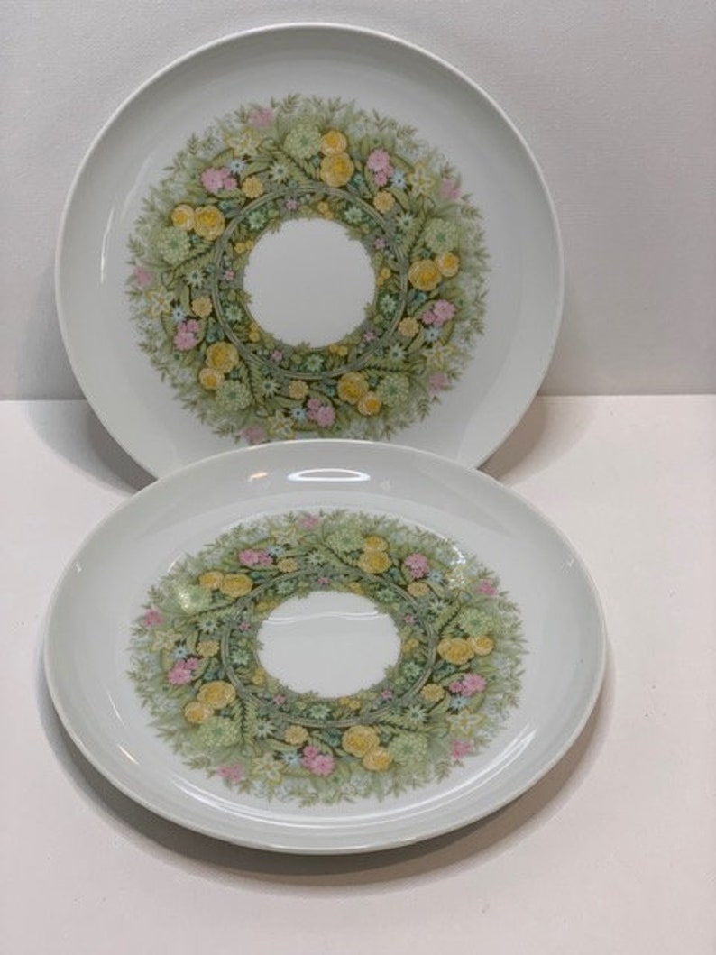 Vintage Set of 2 Noritake Bimini Floral Green Salad PlateYounger Image #6923