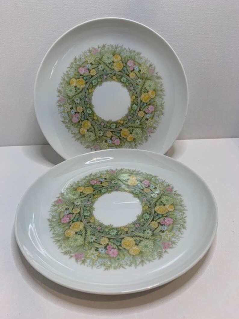 Vintage Set of 2 Noritake Bimini Floral Green Salad PlateYounger Image #6923