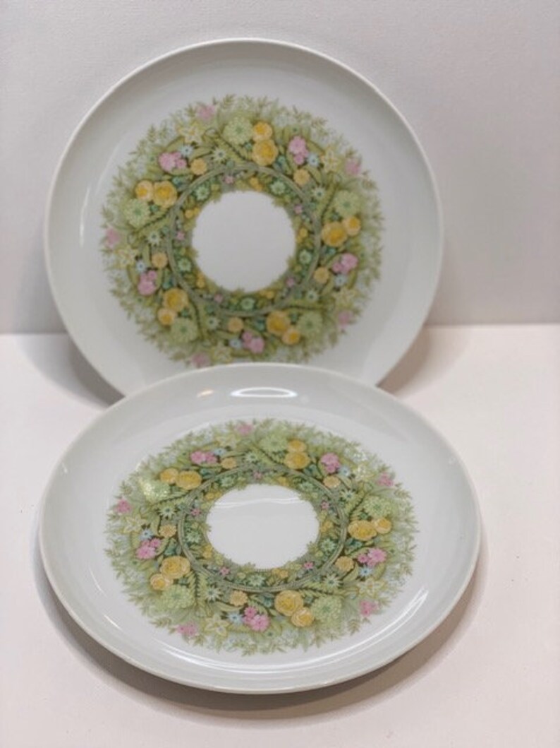 Vintage Set of 2 Noritake Bimini Floral Green Salad PlateYounger Image #6923