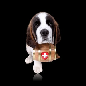 Christmas ornaments personalized pet decor gifts idea, Saint Bernard Barrel with Decal and Engraving
