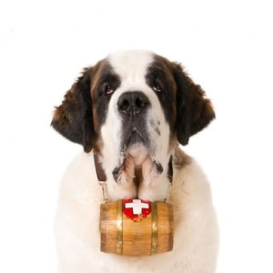 st bernard dog barrel