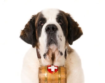 christmas gifts  st bernard dog barrel