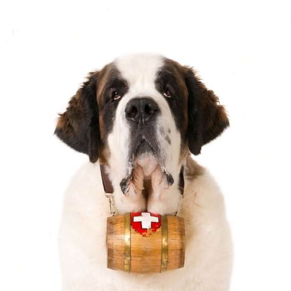 St Bernard Dog Barrel - Etsy St Bernard Dog Barrel - Etsy
