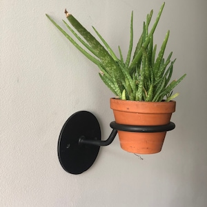 UFO #1 Wall Mount Hanging Plant Holder - Small / Medium