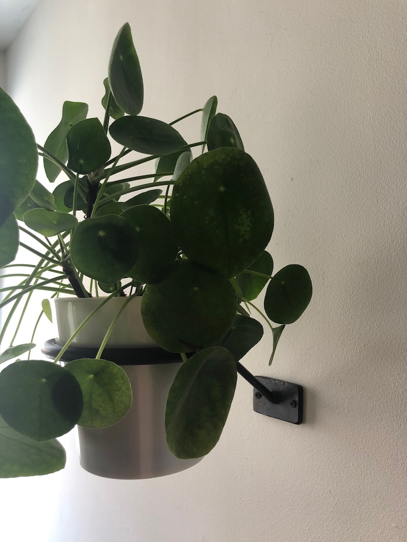 UFO #2 Wall Mount Hanging Plant Holder Small Medium