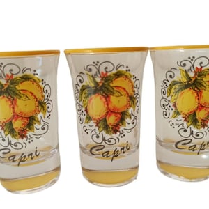 Bicchierini da limoncello, liquore e caffè Capri in vetro con stampa a fuoco fatti a mano in Italia 6 pezzi