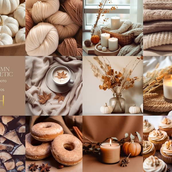 Autumn Aesthetic Stock Photos | Stock Images | 70 Stock Photos| Social Media Photos | Faceless Photos | Content Photos