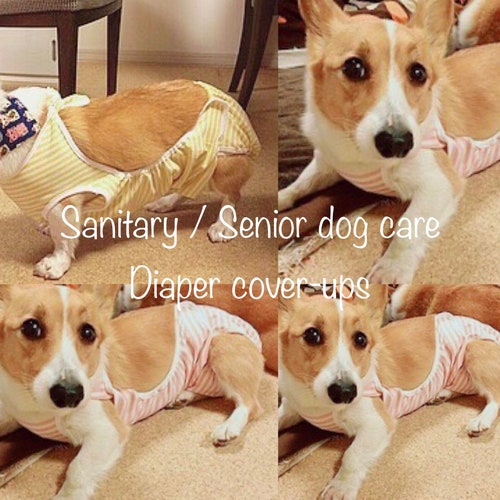 Made to Measure Apron Style Sanitary Senior Dog Care Diaper Etsy