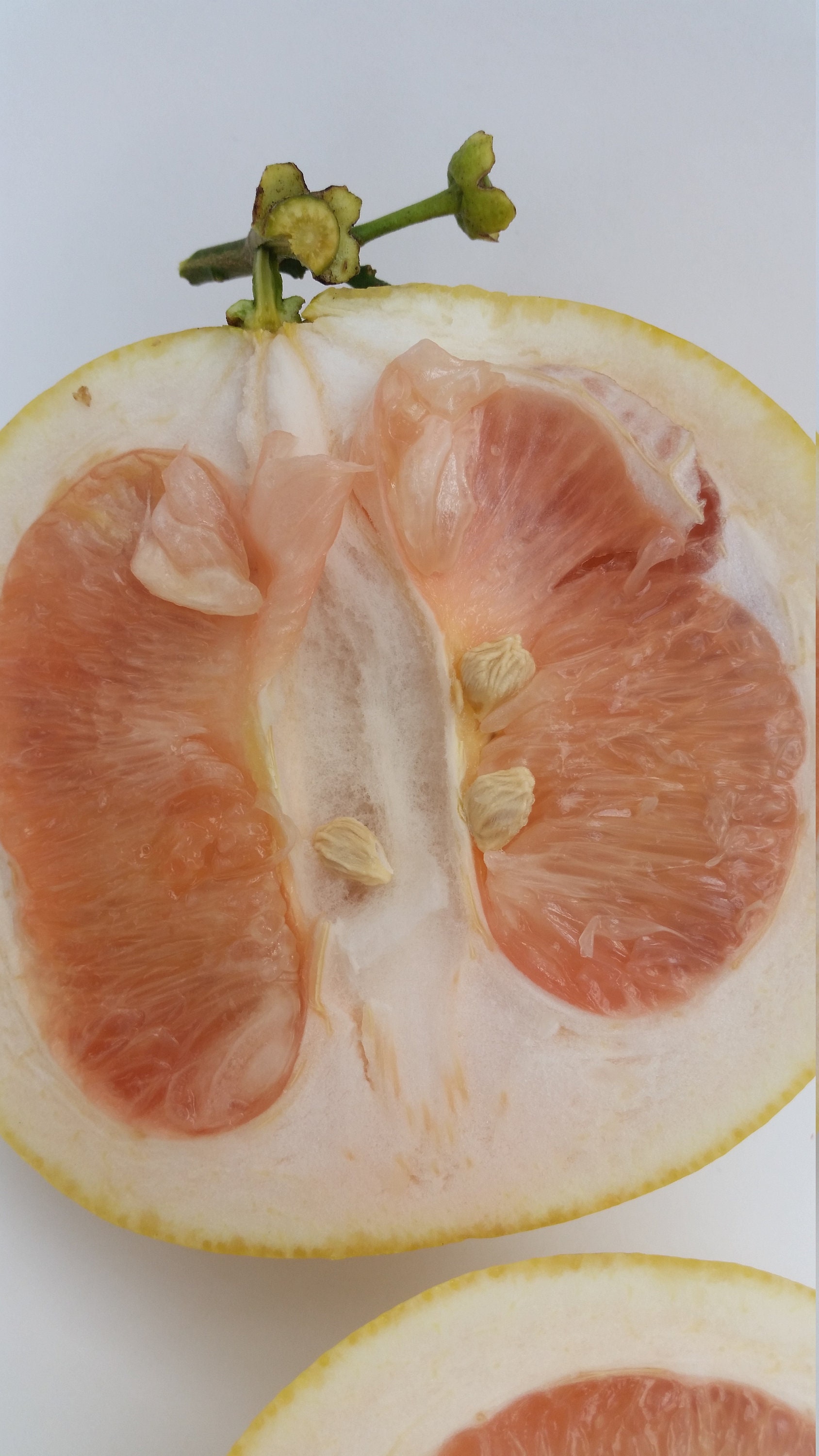 Pomelo/ Pummelo Fruit Tree Seeds Citrus Maxima/ Citrus Etsy