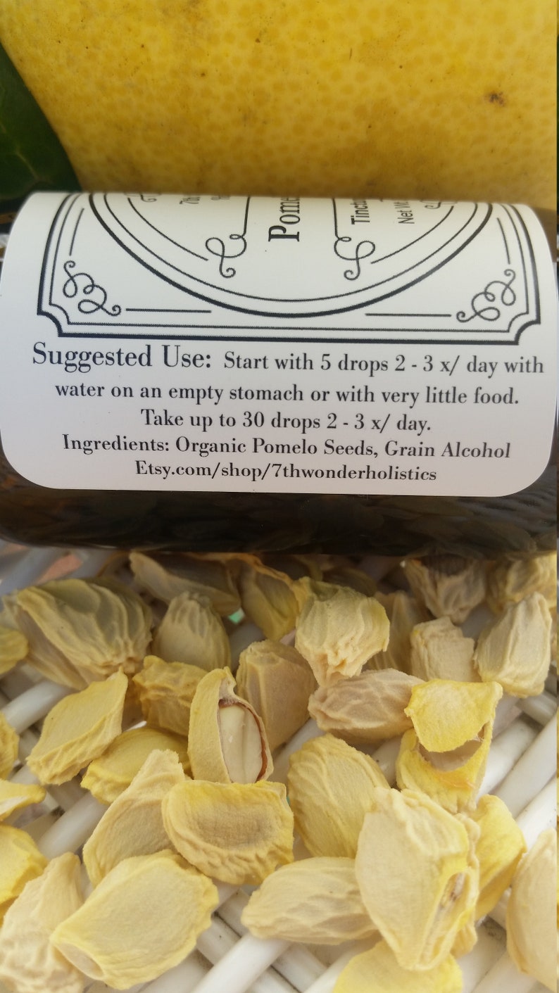 Pomelo Seed Concentrated Liquid Extract Tincture. Pomelo Etsy