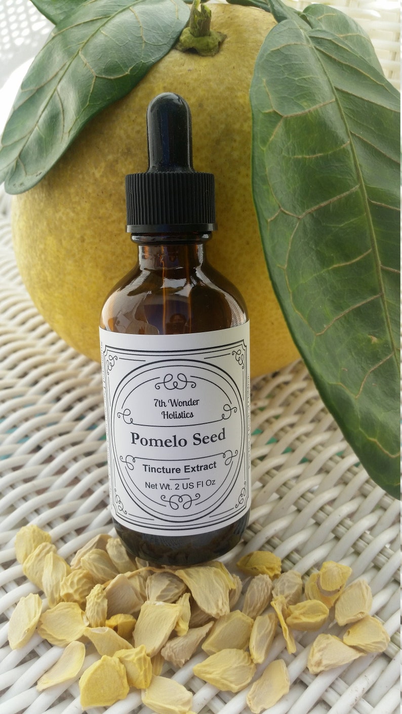 Pomelo Seed Concentrated Liquid Extract Tincture. Pomelo Etsy