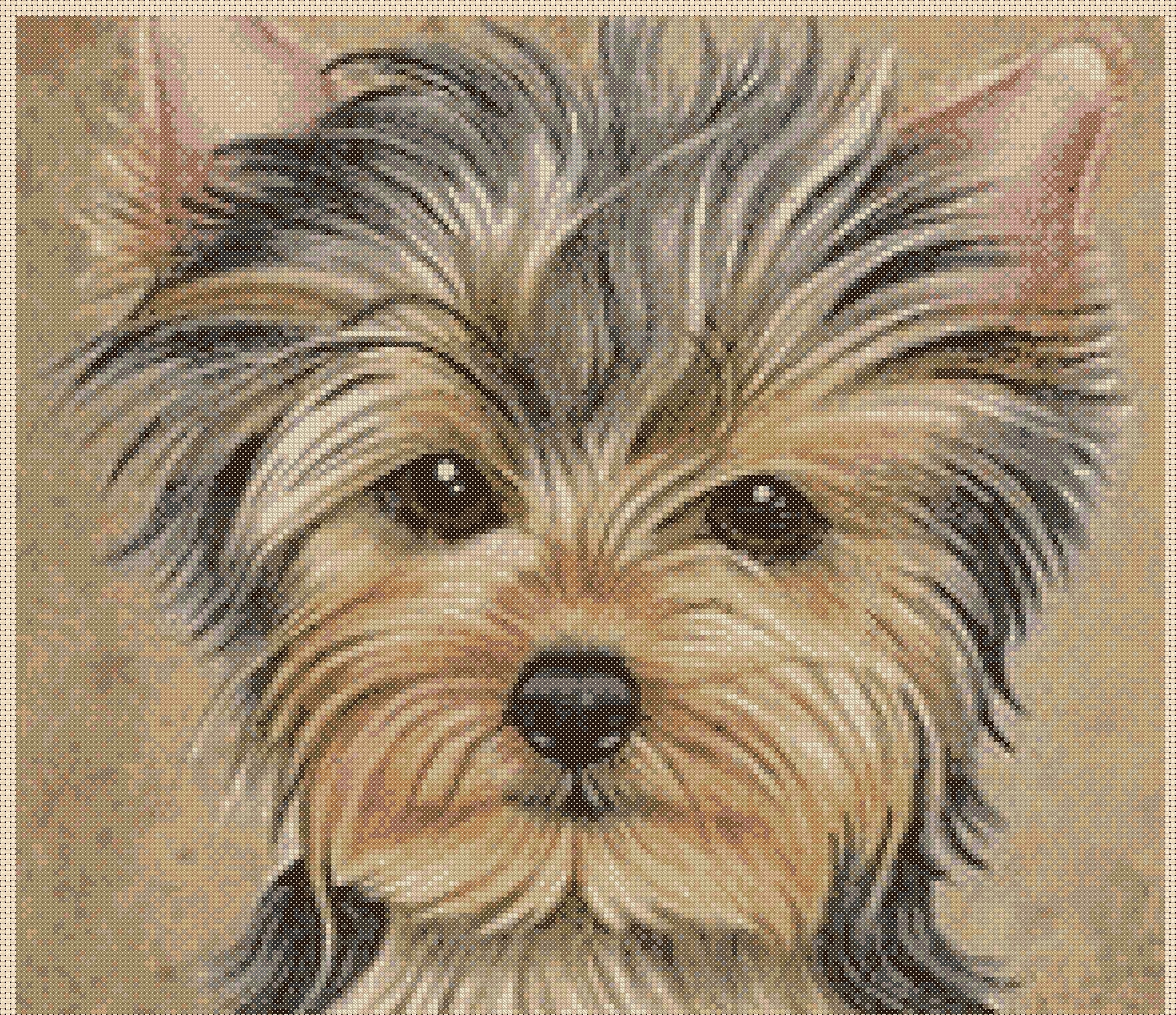 Cross Stitch Chart Yorkshire Terrier Dogs No. 433a Etsy UK